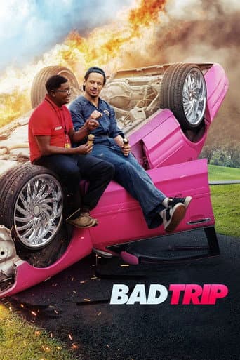 Filmplakat: Bad Trip